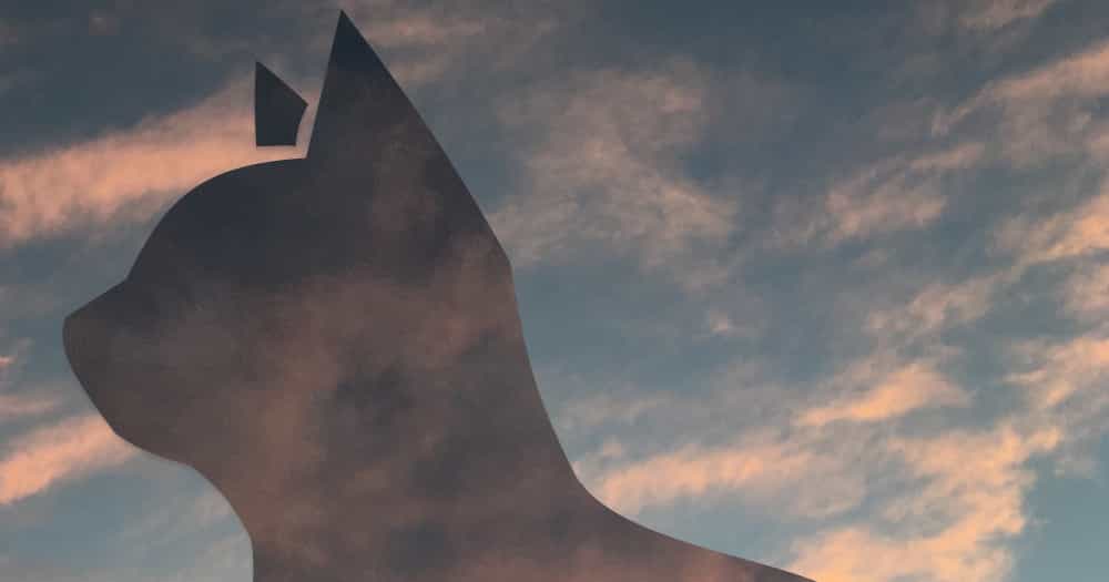 Site image of the bookmark